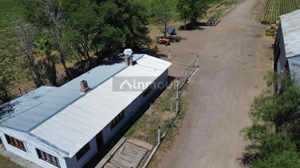 Finca en Venta en Santa Rosa, Mendoza