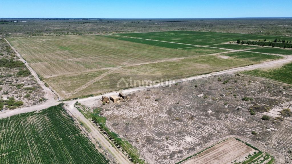 Finca en Venta en Santa Rosa, Mendoza