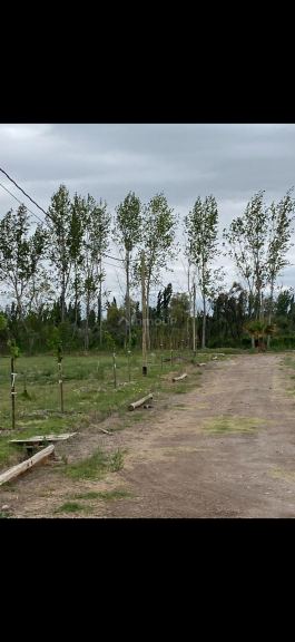 Loteo en Venta en Guaymallen, Mendoza
