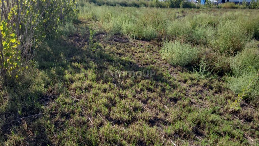 Terreno en Venta en Maipu, Mendoza