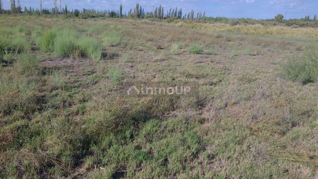 Terreno en Venta en Maipu, Mendoza