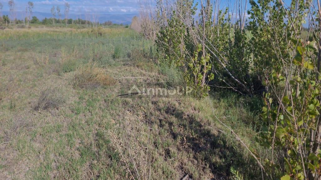 Terreno en Venta en Maipu, Mendoza