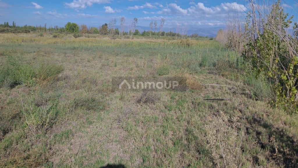 Terreno en Venta en Maipu, Mendoza