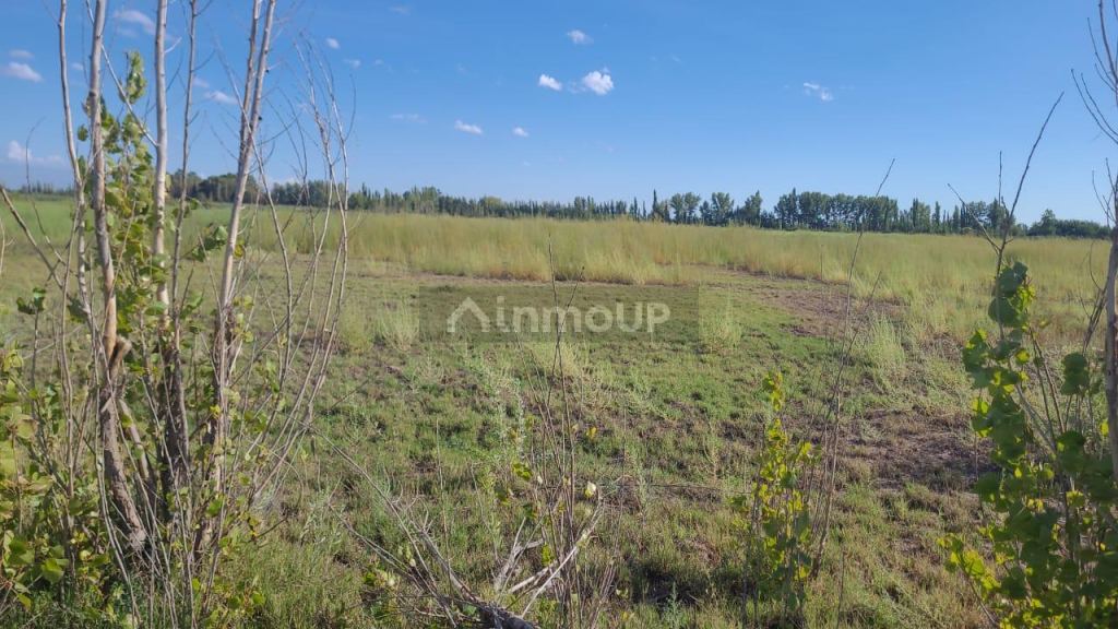 Terreno en Venta en Maipu, Mendoza