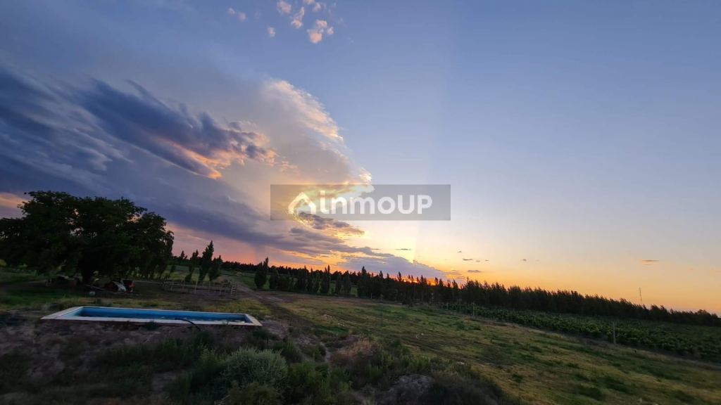 Finca en Venta en Santa Rosa, Mendoza