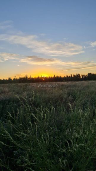 Finca en Venta en Santa Rosa, Mendoza