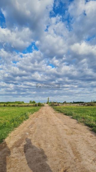 Finca en Venta en Santa Rosa, Mendoza