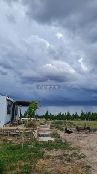 Finca en Venta en Santa Rosa, Mendoza