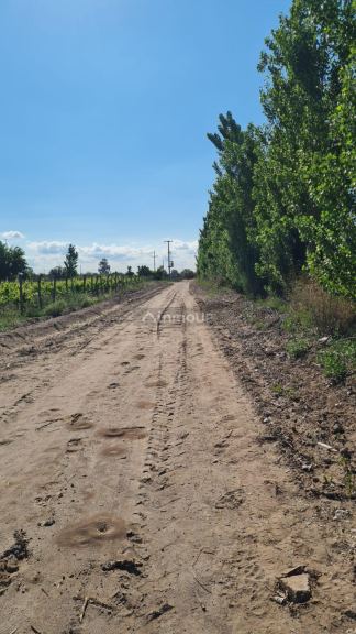 Finca en Venta en Santa Rosa, Mendoza
