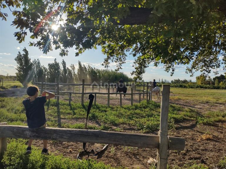 Finca en Venta en Santa Rosa, Mendoza