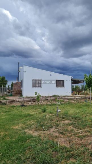 Finca en Venta en Santa Rosa, Mendoza