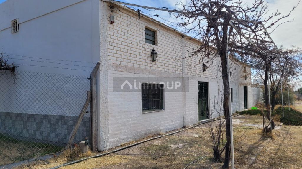 Finca en Venta en Santa Rosa, Mendoza