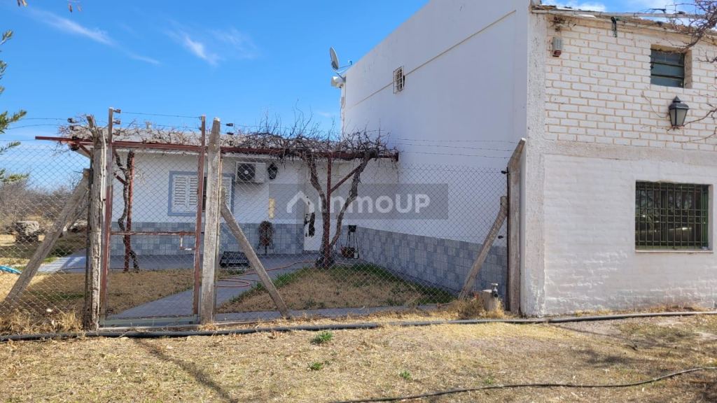 Finca en Venta en Santa Rosa, Mendoza