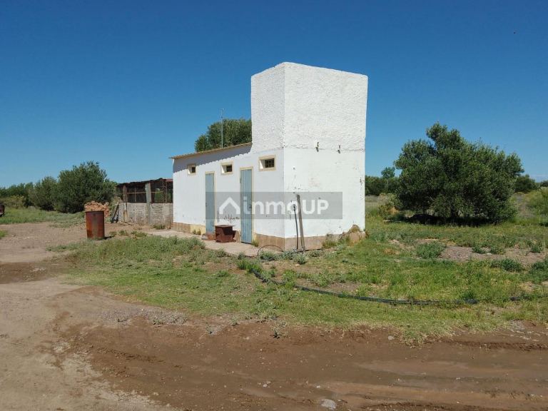 Finca en Venta en Santa Rosa, Mendoza