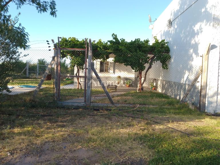 Finca en Venta en Santa Rosa, Mendoza