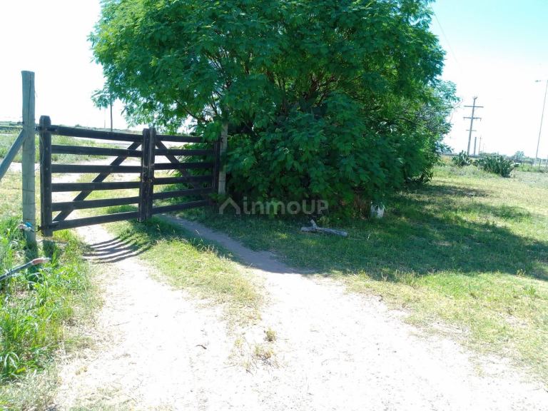 Finca en Venta en Santa Rosa, Mendoza