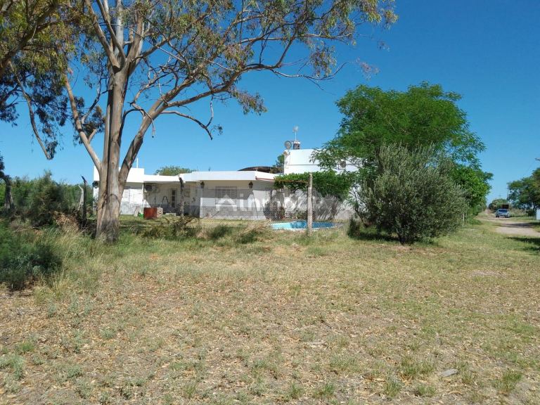Finca en Venta en Santa Rosa, Mendoza