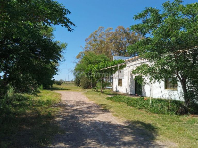 Finca en Venta en Santa Rosa, Mendoza