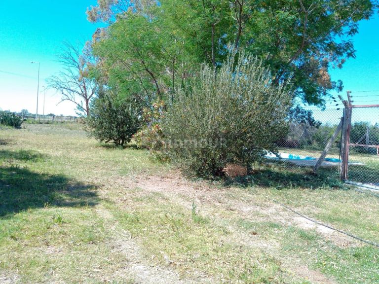 Finca en Venta en Santa Rosa, Mendoza
