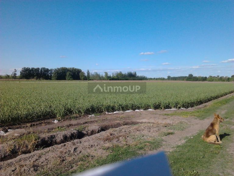 Finca en Venta en Tunuyan, Mendoza