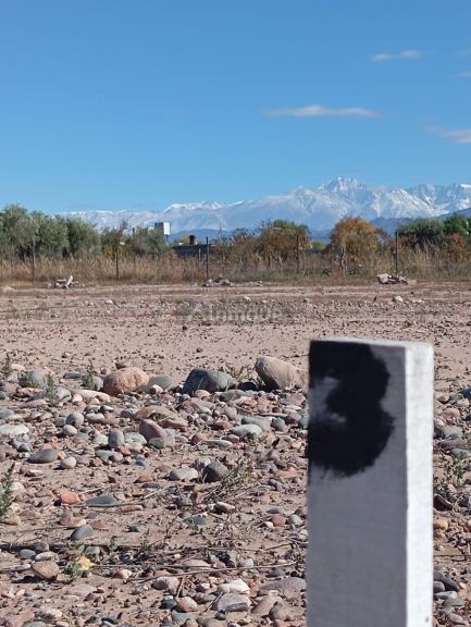 Lote en Venta en Lujan de Cuyo, Mendoza