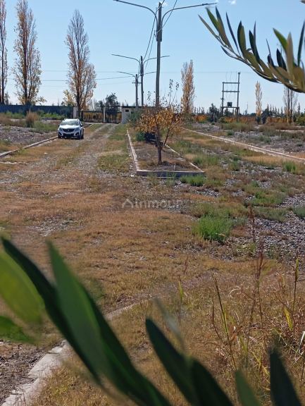 Lote en Venta en Lujan de Cuyo, Mendoza