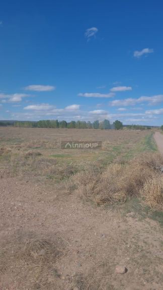 Finca en Venta en Lujan de Cuyo, Mendoza