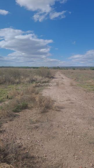 Finca en Venta en Lujan de Cuyo, Mendoza
