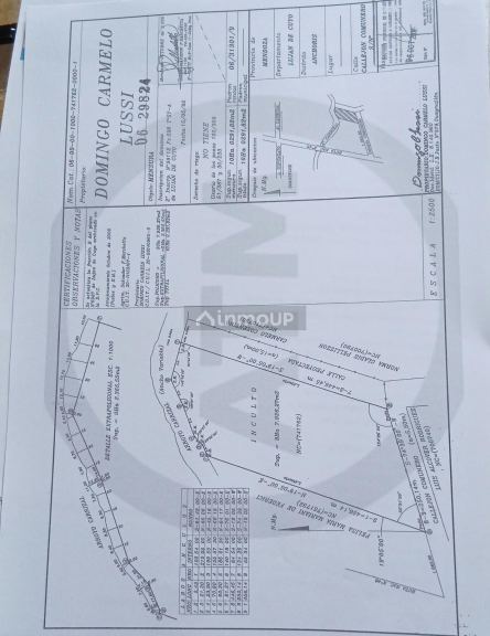 Finca en Venta en Lujan de Cuyo, Mendoza