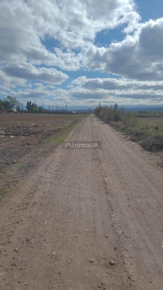Finca en Venta en Lujan de Cuyo, Mendoza