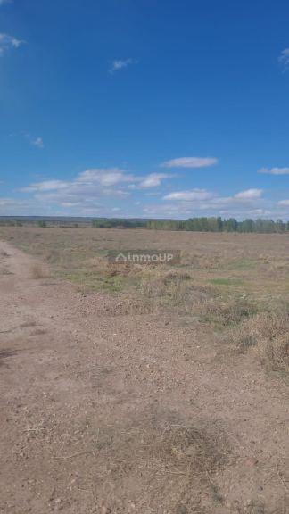 Finca en Venta en Lujan de Cuyo, Mendoza