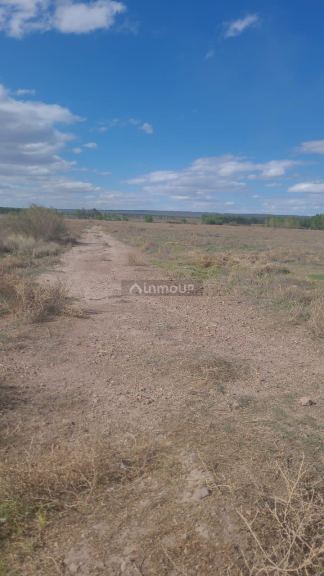 Finca en Venta en Lujan de Cuyo, Mendoza