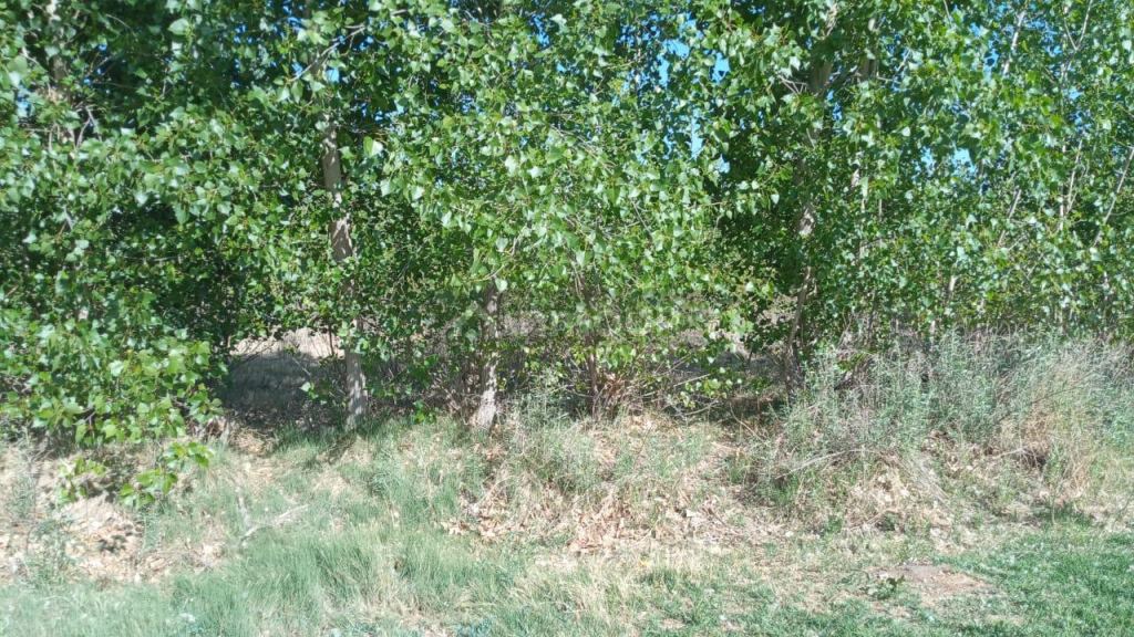 Lote en Venta en Guaymallen, Mendoza