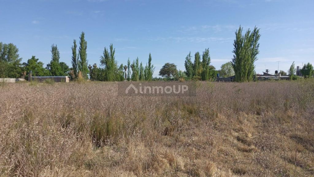 Lote en Venta en Guaymallen, Mendoza