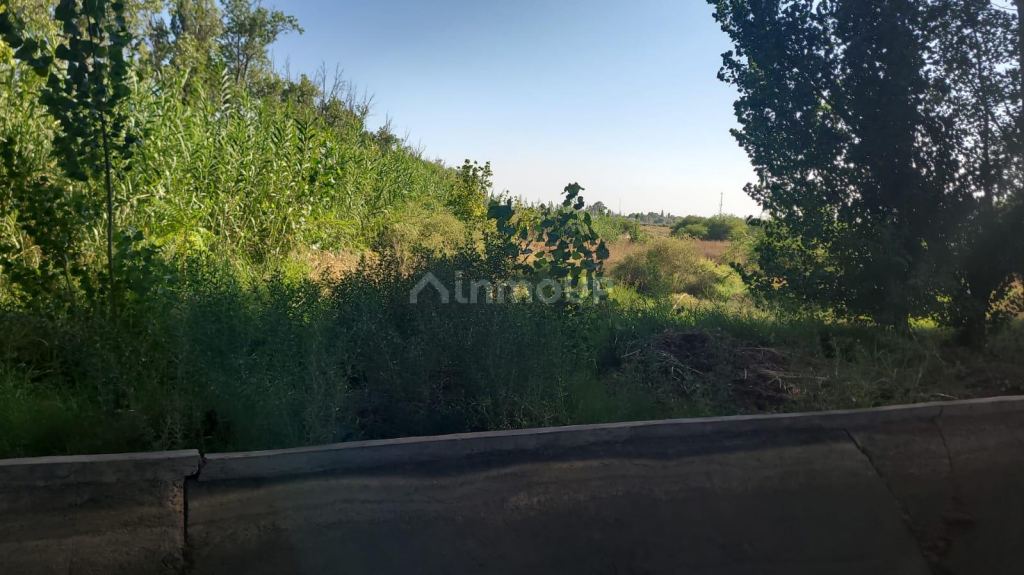 Terreno en Venta en San Martin, Mendoza