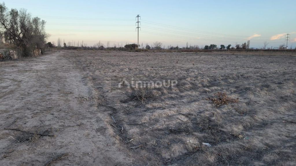 Finca en Venta en San Martin, Mendoza