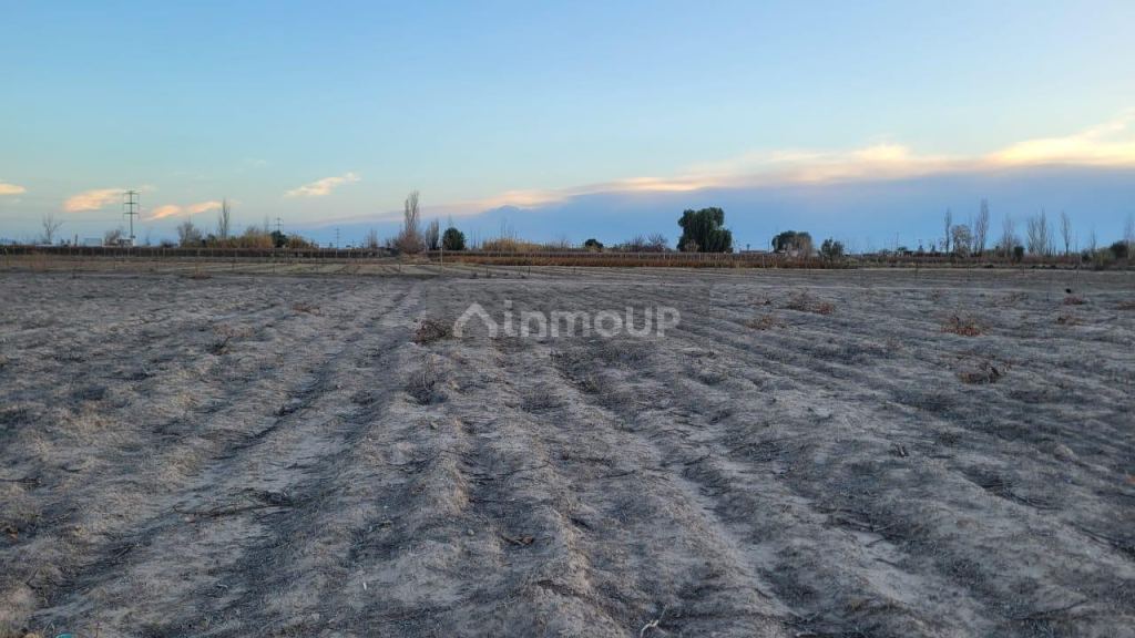 Finca en Venta en San Martin, Mendoza