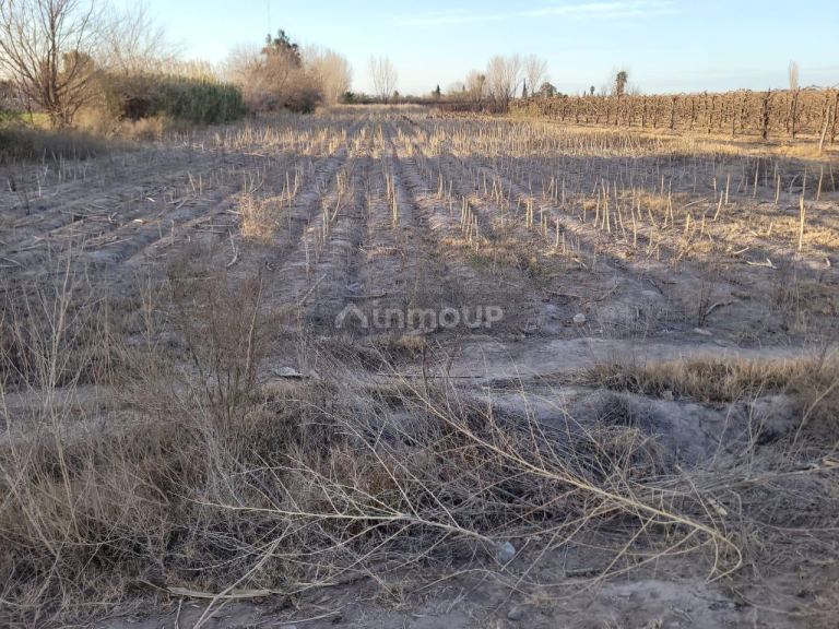 Terreno en Venta en Guaymallen, Mendoza