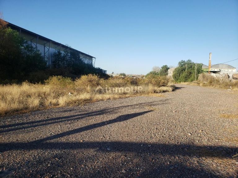 Lote en Alquiler en Lujan de Cuyo, Mendoza