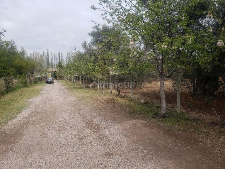 Lote en Venta en Lujan de Cuyo, Mendoza