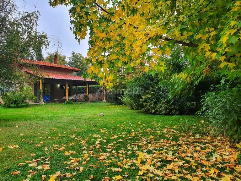 Casa en Alquiler Temporario en Lujan de Cuyo, Mendoza