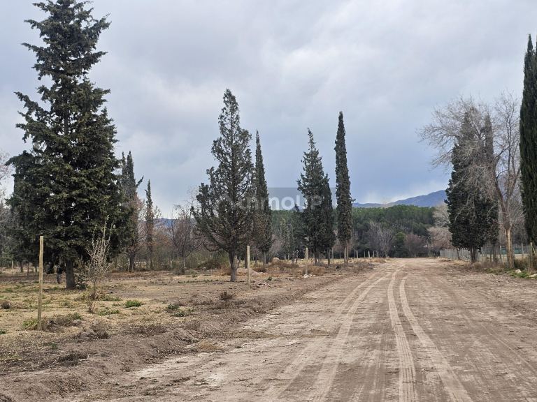 Lote en Venta en Lujan de Cuyo, Mendoza
