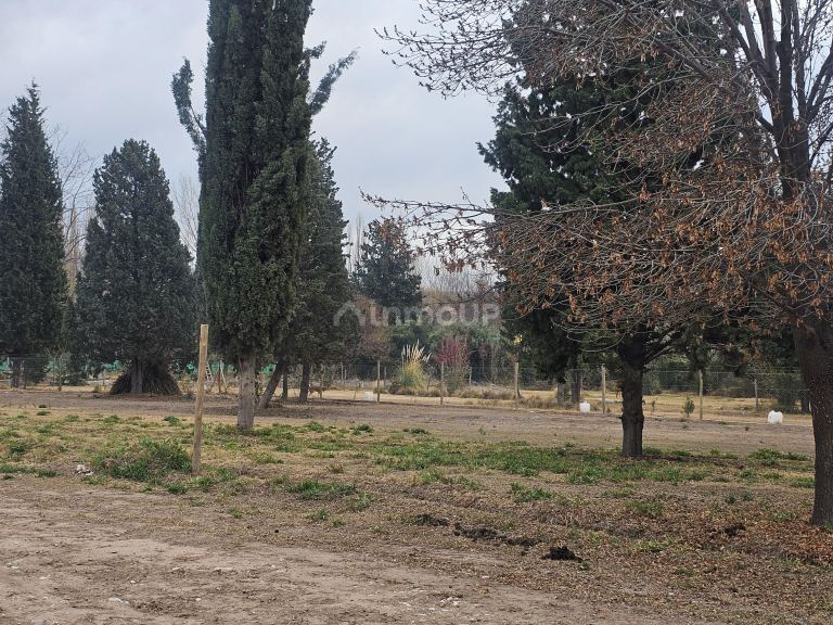 Lote en Venta en Lujan de Cuyo, Mendoza