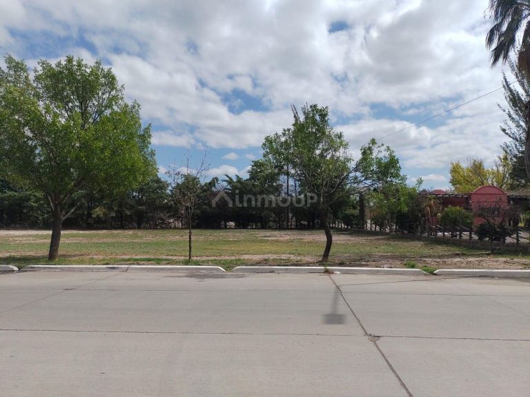 Lote en Venta en Junin, Mendoza