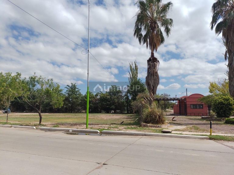 Lote en Venta en Junin, Mendoza