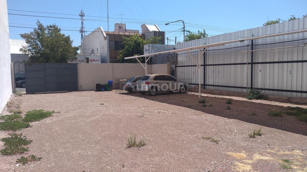 Departamento en Alquiler en San Martin, Mendoza