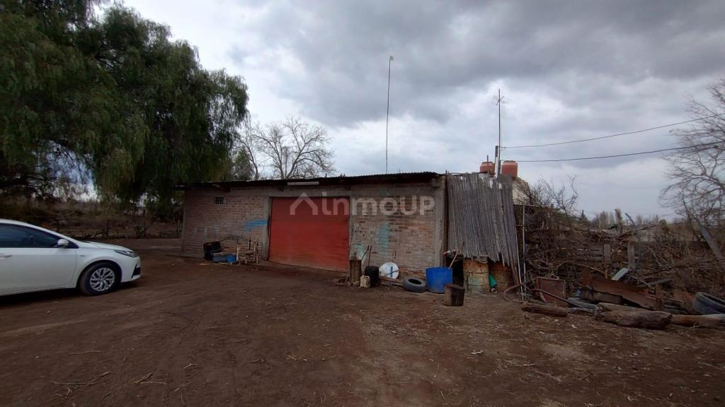 Viñedo en Venta en Rivadavia, Mendoza