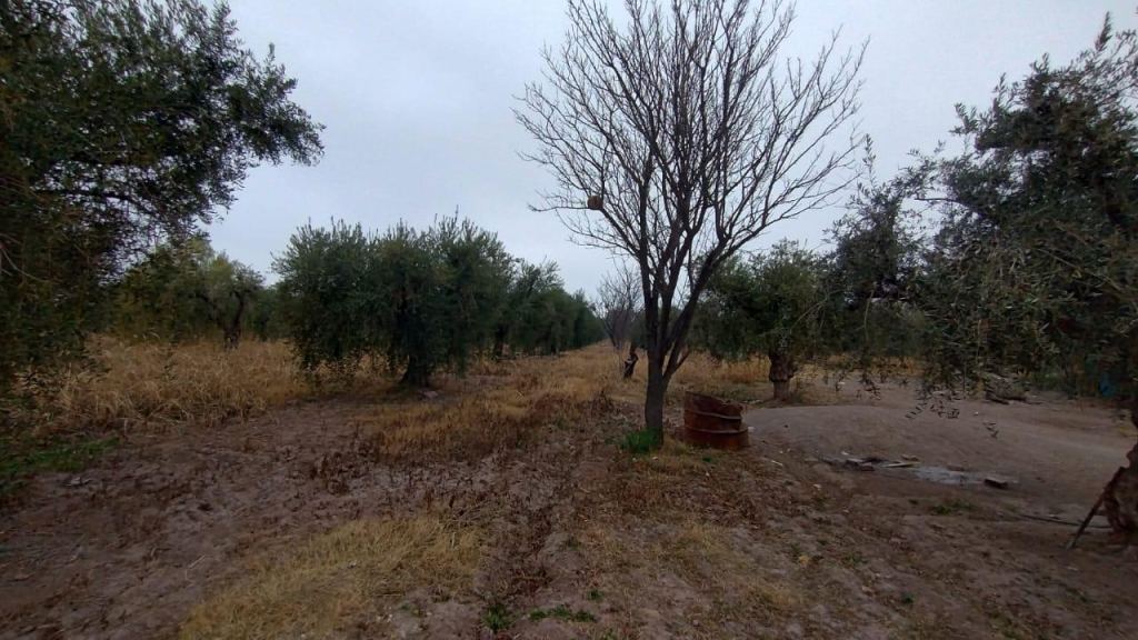 Lote en Venta en Guaymallen, Mendoza