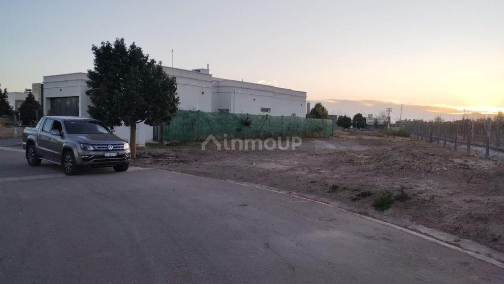 Lote en Venta en San Martin, Mendoza