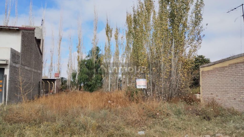 Lote en Venta en Junin, Mendoza